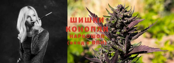 мдпв Алагир