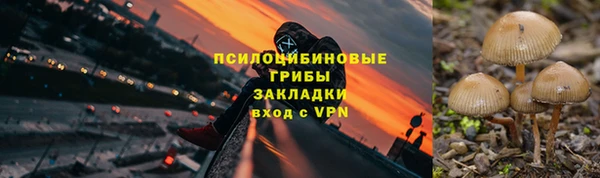 герыч Арсеньев