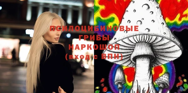 герыч Арсеньев